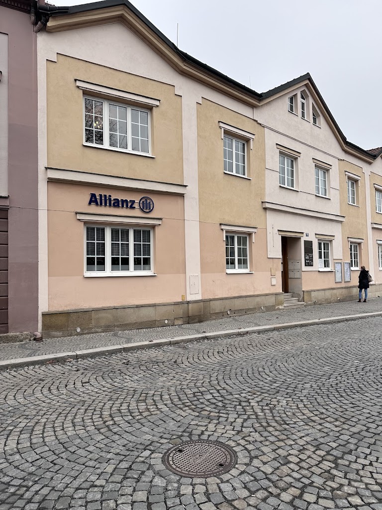 Allianz pojišťovna - Kristýna Seidlová - Valašské Meziříčí