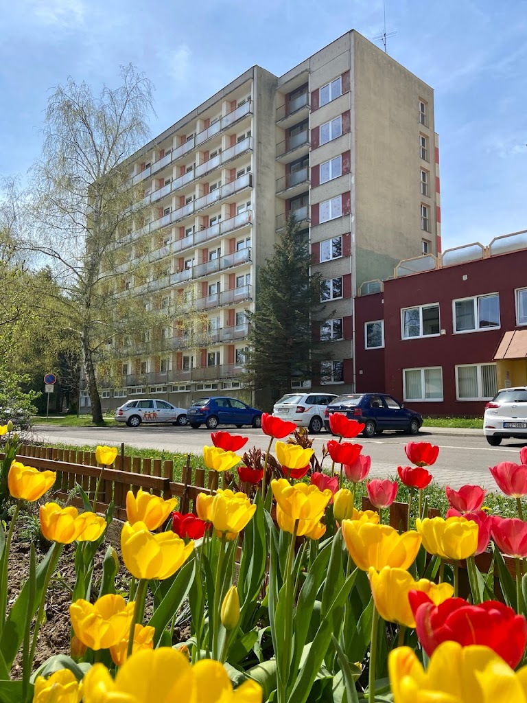Centrum sociální péče města Ústí nad Orlicí - Pečovatelská služba