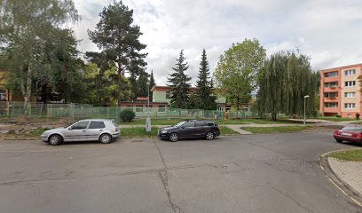 Dětská alergologie Mudr. Petra Jelínková