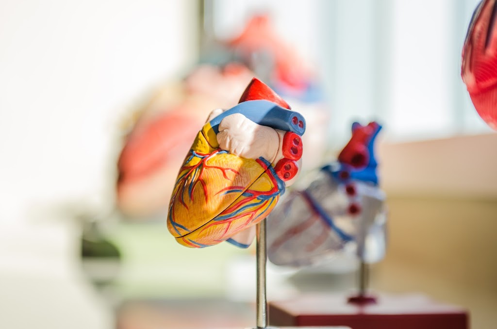 Kardiologie Karlovy Vary s.r.o.