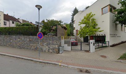 Kasl Milan Mudr.- Kasmed S.r.o.