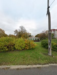 Králová Veronika MUDr.