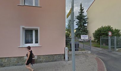 Městská pečovatelská služba s denním stacionářem Louny, příspěvková organizace Městská pečovatelská služba s denním stacionářem Louny, příspěvková organizace