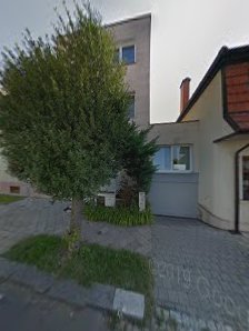 MUDr. Josef Kreml MUDr. Josef Kreml