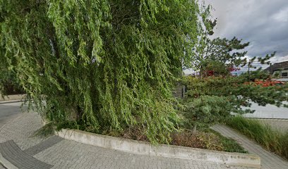 MUDr. Klára Šillerová MUDr. Klára Šillerová