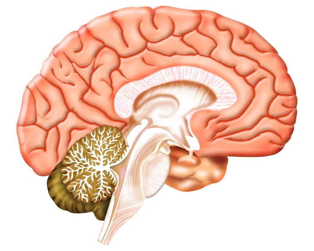 MUDr. Petra Kolrusová - Neurologická ordinace Tábor