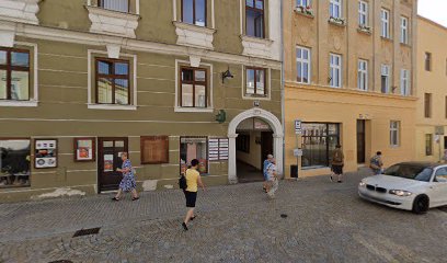 MUDr. Vladěna Vizingrová MUDr. Vladěna Vizingrová