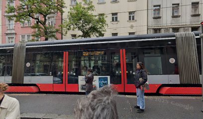 MUDr. Zdenka Pondělíčková MUDr. Zdenka Pondělíčková