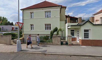 MUDr.Jiří Havel MUDr.Jiří Havel