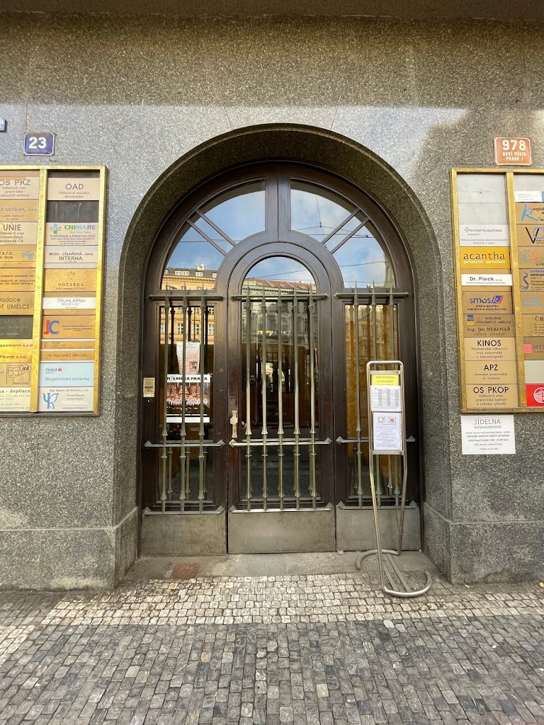 Pražský praktik Pražský praktik