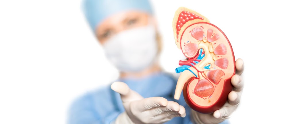 Urologie Vršovice Urologie Vršovice