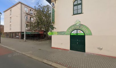 Zehnalová Jana MUDr. Zehnalová Jana MUDr.